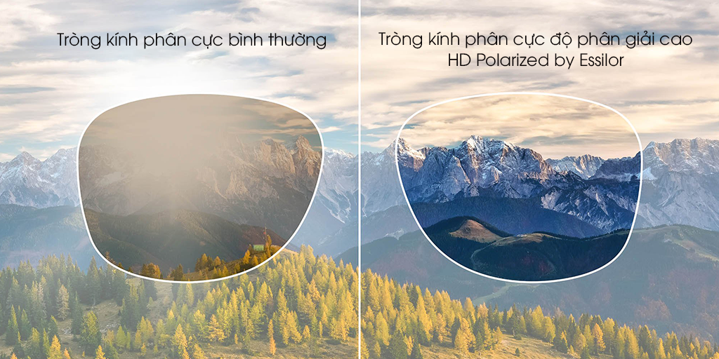 KÍNH MÁT BOLON BL1006 C10 - Hình 6