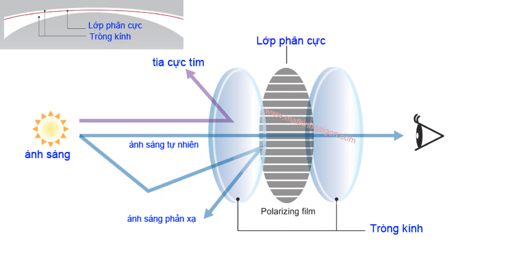 KÍNH MÁT UNISEX  MOLSION MS7071 B31 - Hình 4