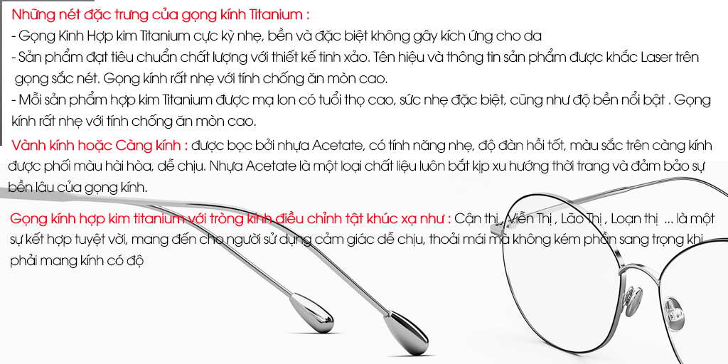 GỌNG KÍNH MOLSION MJ7056 B12 - Hình 4