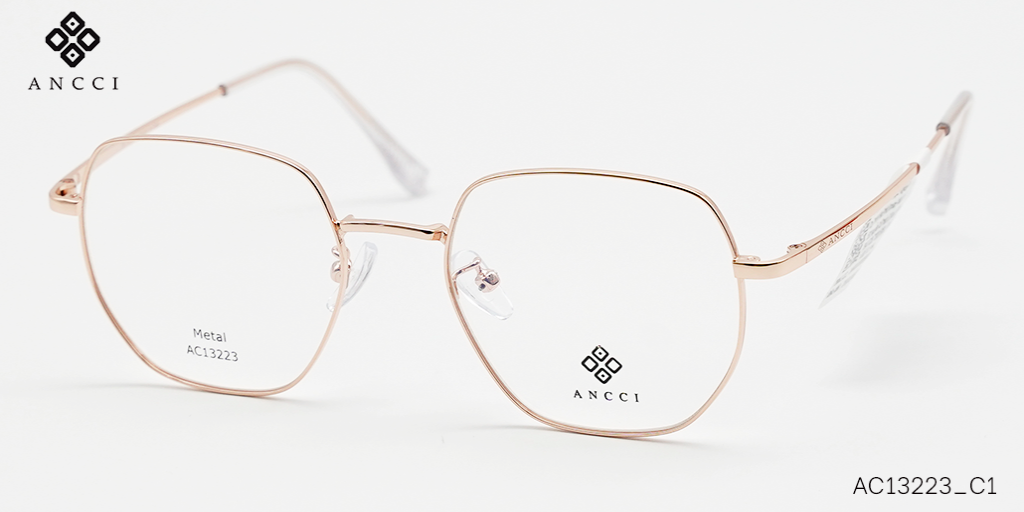 GỌNG KÍNH ANCCI METAL AC13223_C1