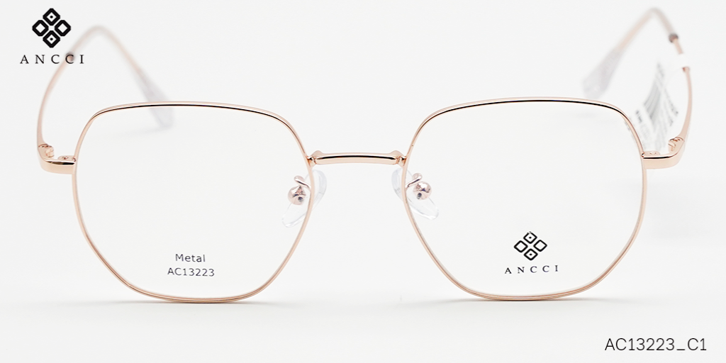 GỌNG KÍNH ANCCI METAL AC13223_C1 - Hình 3