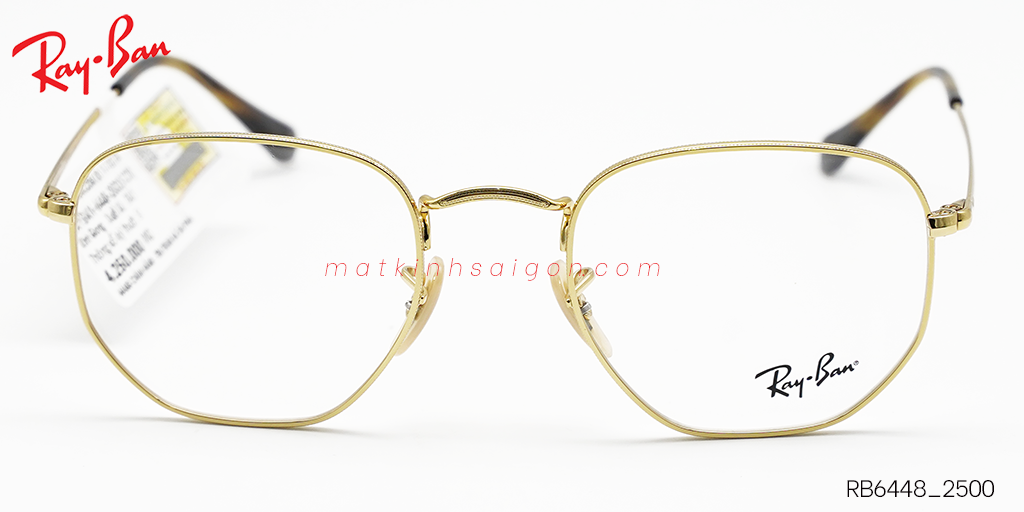 Gọng Kính Hợp Kim Metal RayBan RB6448_2500 - Hình 3