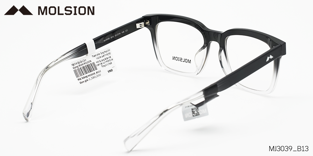 GỌNG KÍNH MOLSION MJ3039 B13 - Hình 4