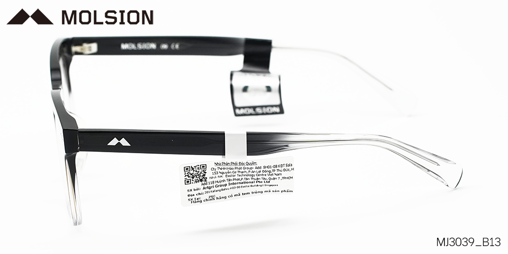 GỌNG KÍNH MOLSION MJ3039 B13 - Hình 6