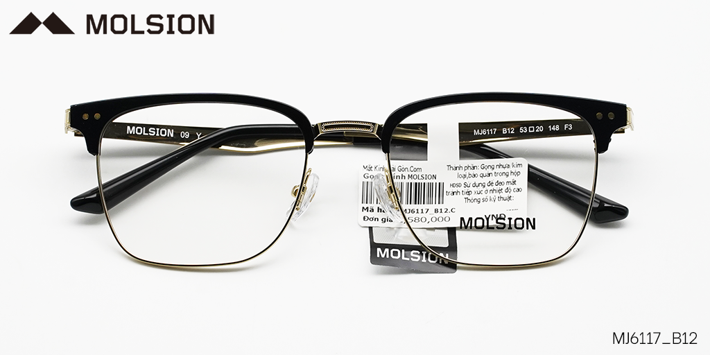GỌNG KÍNH MOLSION MJ6117 B12 - Hover