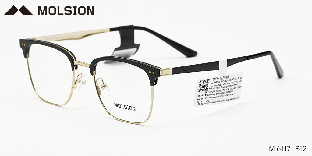 GỌNG KÍNH MOLSION MJ6117 B12 - Hình 5