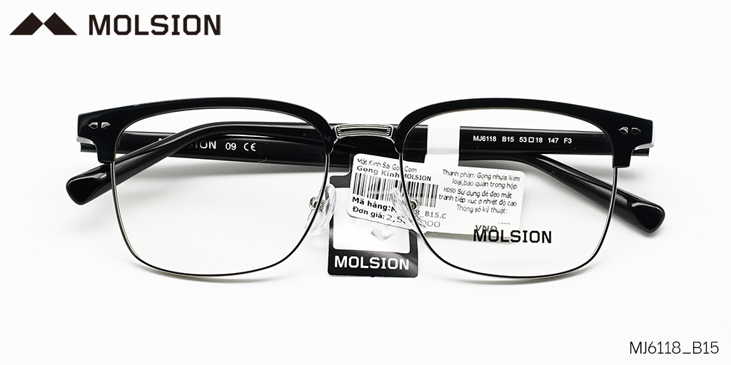 GỌNG KÍNH MOLSION MJ6118 B15 - Hover