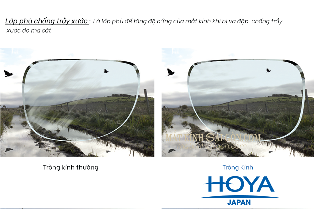 Tròng Kính 1.55 HOYA Stellfy BlueControl - Hình 6