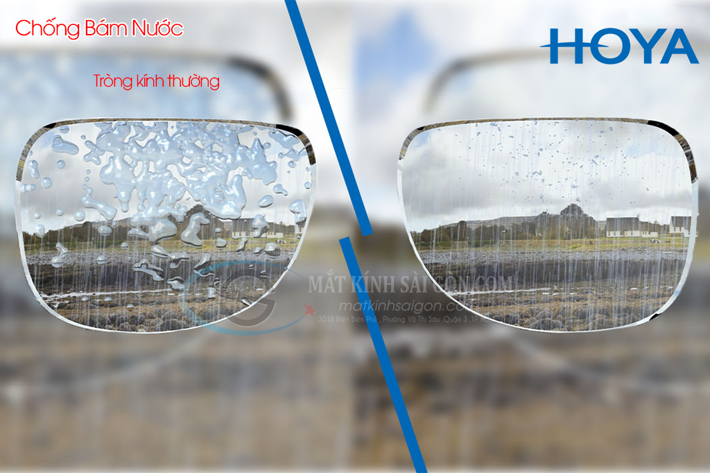 Tròng Kính Đổi Màu 1.55 Hoya Sensity - Hình 6