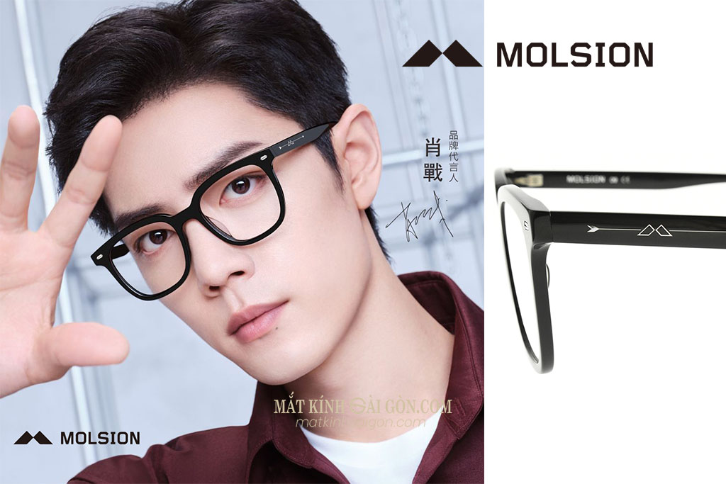 GỌNG KÍNH MOLSION MJ3071 B10 - Hover