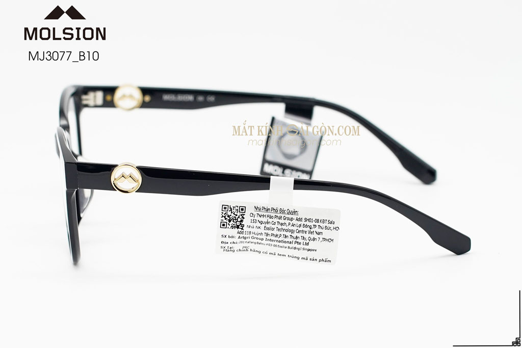 GỌNG KÍNH MOLSION MJ3077 B10 - Hình 8
