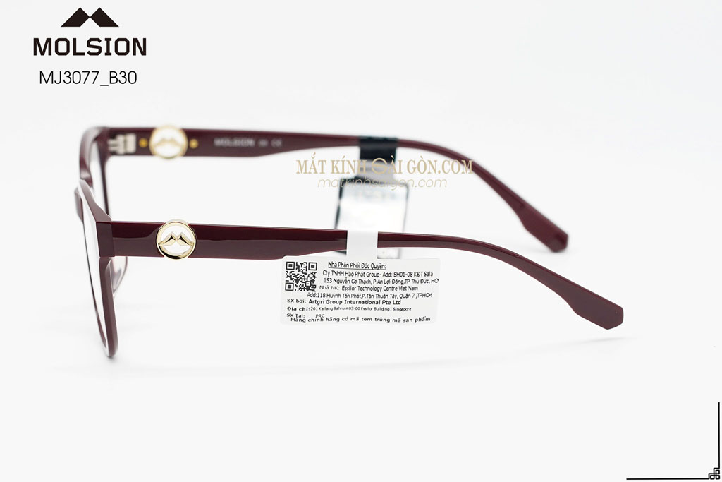 GỌNG KÍNH MOLSION MJ3077 B30 - Hình 7