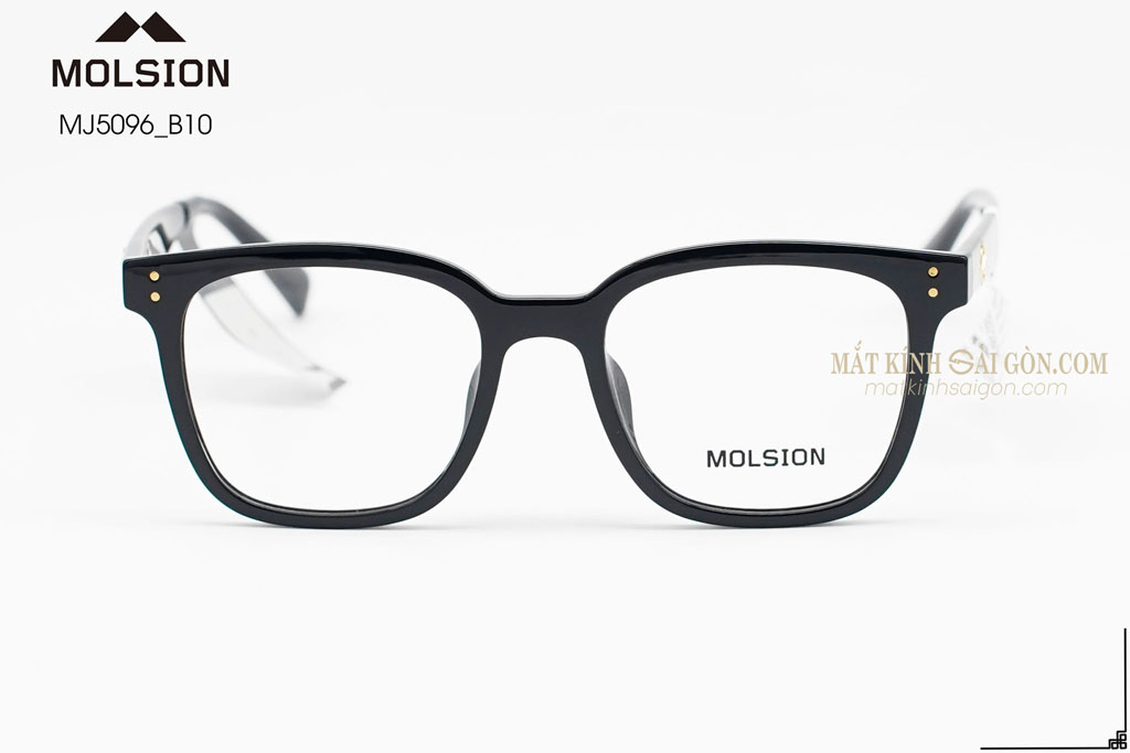 GỌNG KÍNH MOLSION MJ5096 B10 - Hình 3