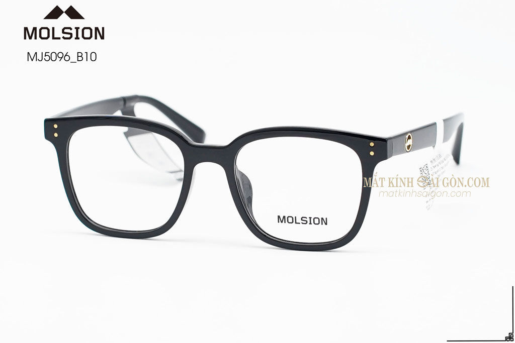 GỌNG KÍNH MOLSION MJ5096 B10