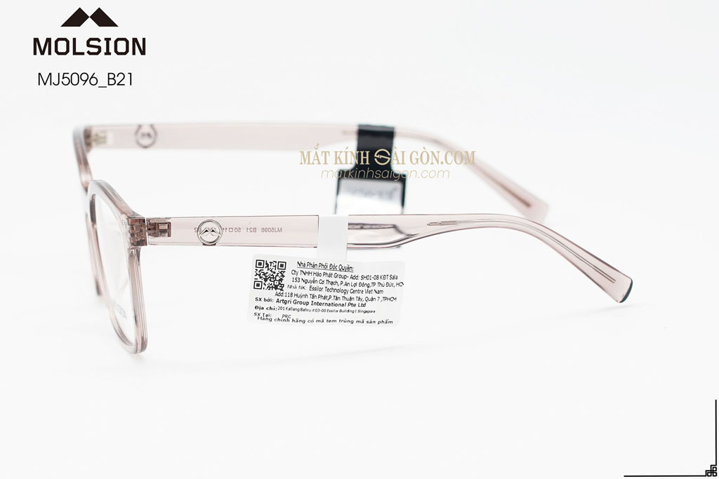 GỌNG KÍNH MOLSION MJ5096 B21 - Hình 6