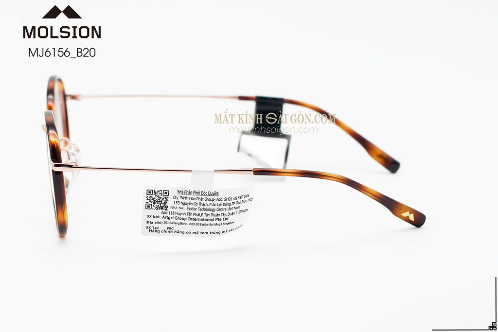 GỌNG KÍNH MOLSION MJ6156 B20 - Hình 7