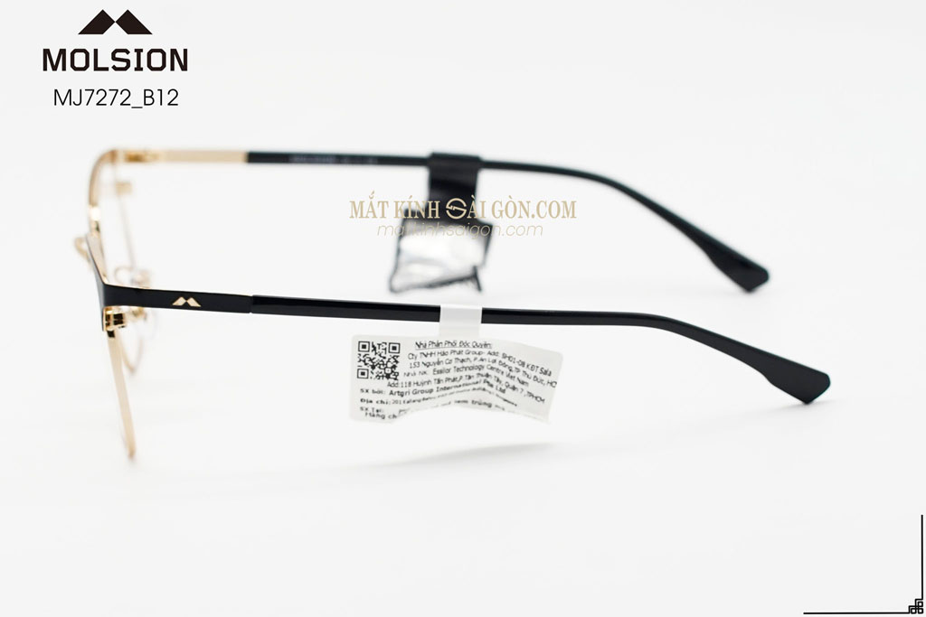 GỌNG KÍNH MOLSION MJ7272 B12 - Hình 6
