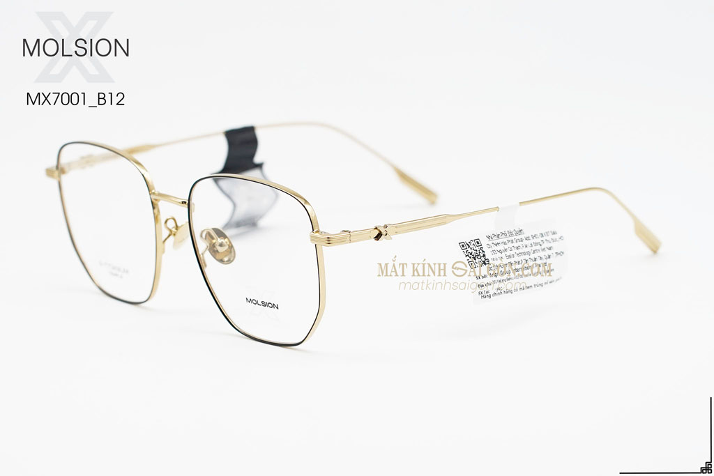 GỌNG KÍNH MOLSION MX7001 B12 - Hình 5