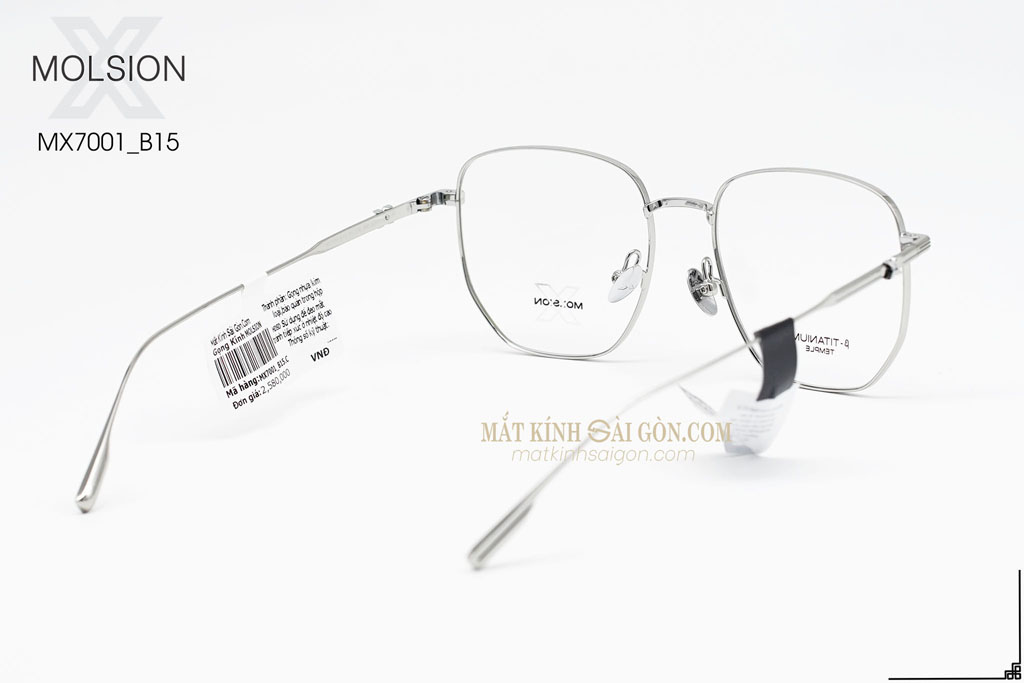GỌNG KÍNH MOLSION MX7001 B15 - Hình 4