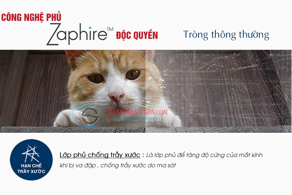 Tròng Kính Đa Tròng 1.60 FreeVista Plus - Hình 9