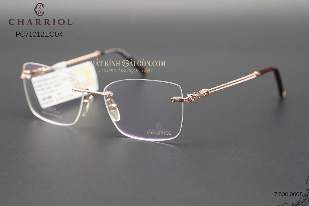 GỌNG KÍNH CHARRIOL PC71012 C04 - Hình 5