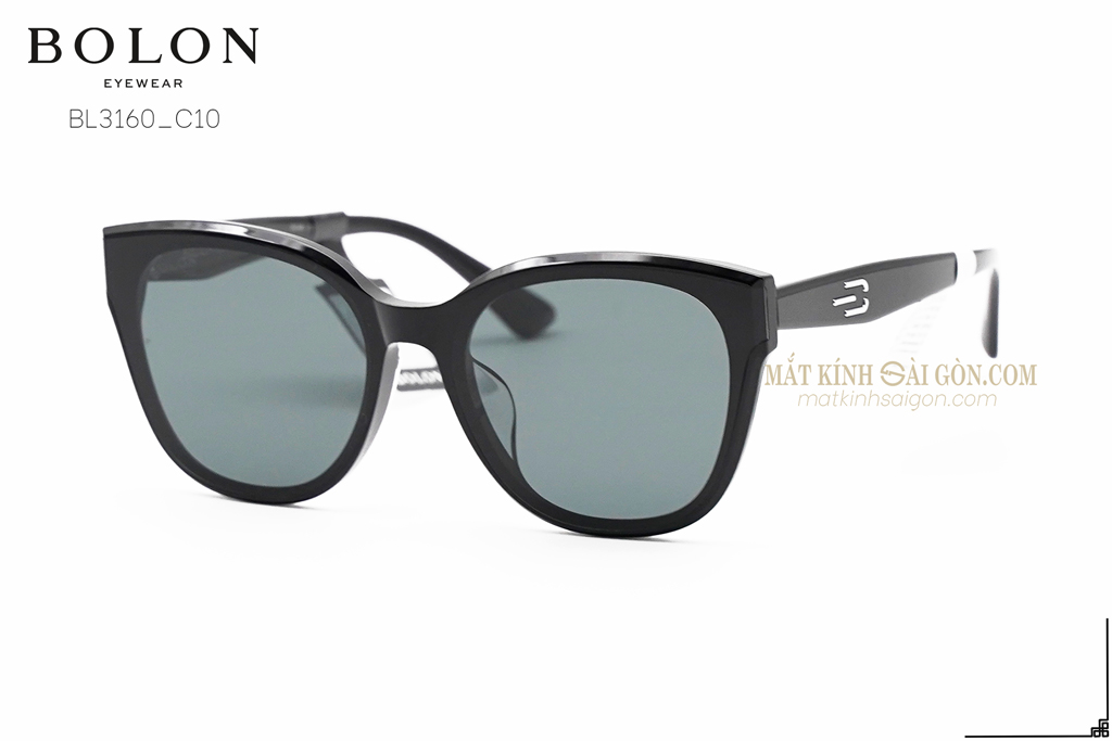 KÍNH MÁT BOLON BL3160 C10 - Hình 5