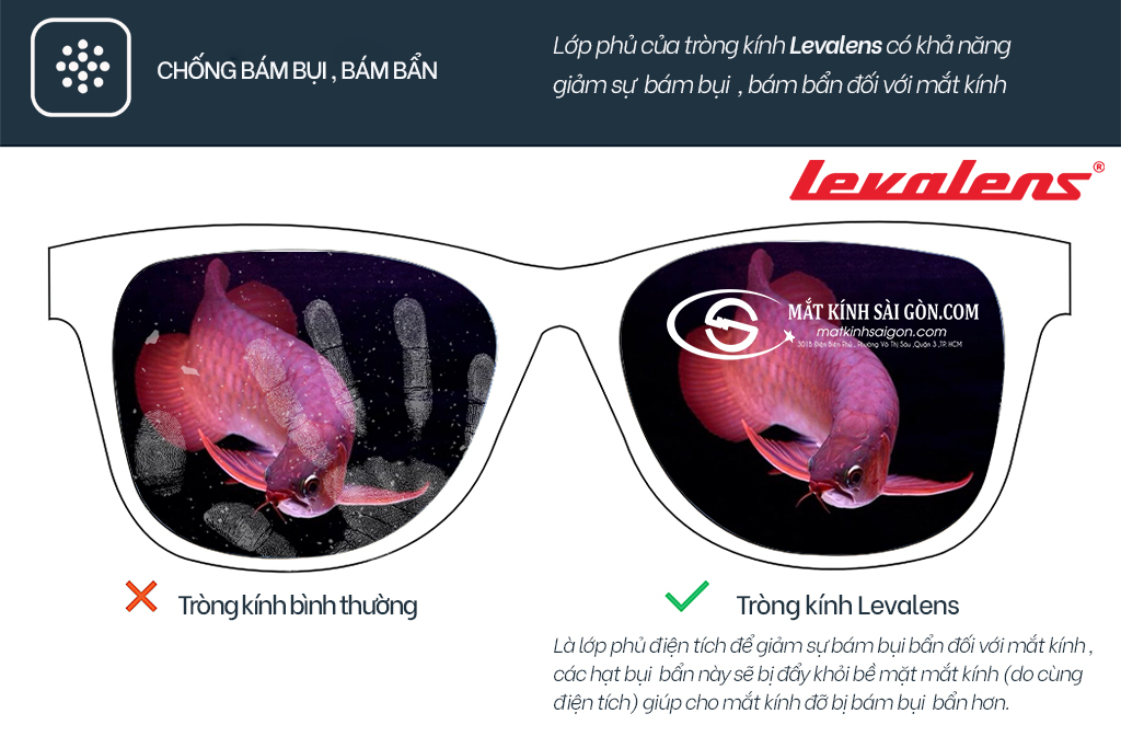 KÍNH ĐA TRÒNG 1.56 LEVALENS PAL GOLD - Hình 9