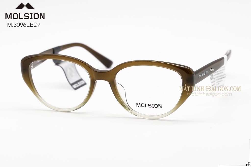 GỌNG KÍNH MOLSION MJ3096 B29