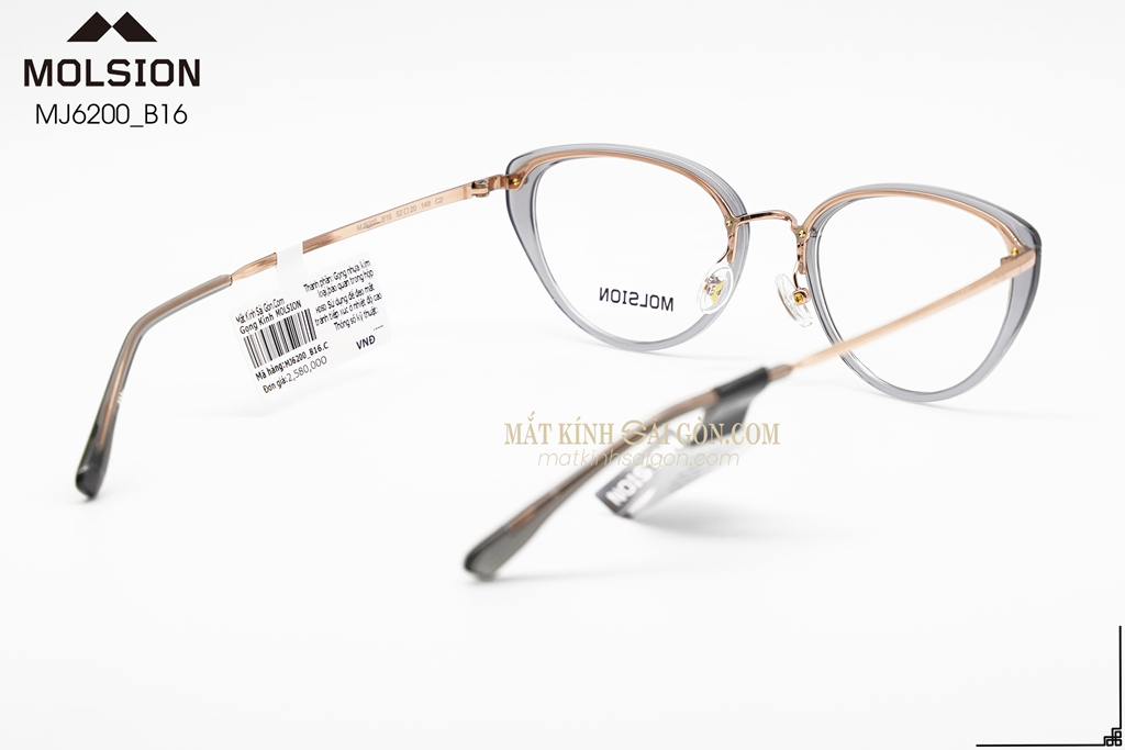 GỌNG KÍNH MOLSION MJ6200 B16 - Hình 4