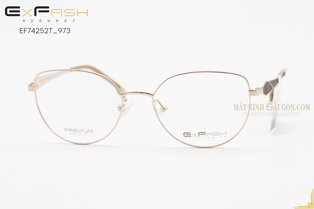 GỌNG KÍNH EXFASH EF74252T 973