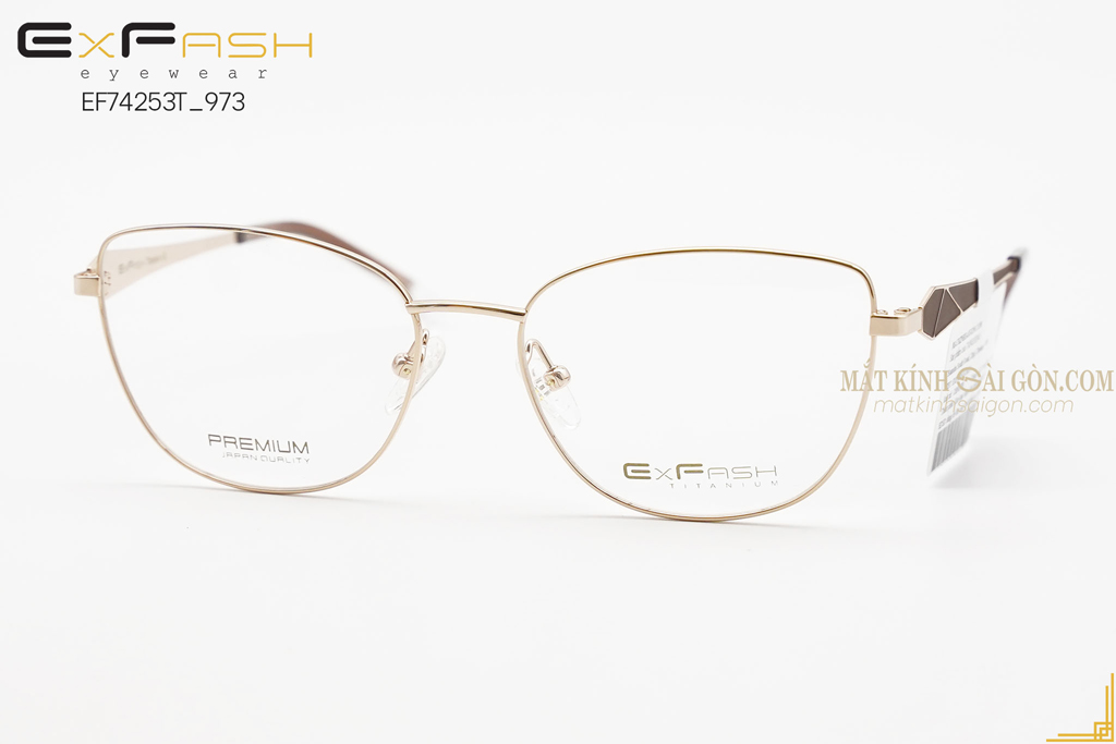 GỌNG KÍNH EXFASH EF74253T 973A