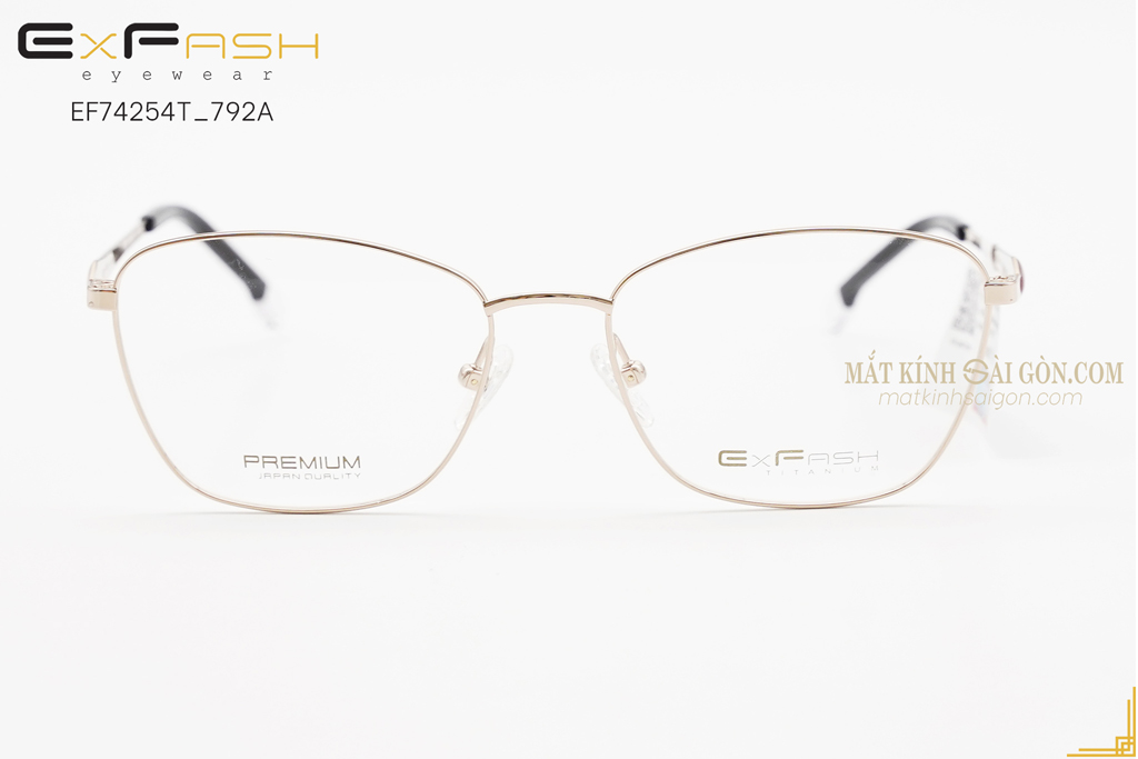 GỌNG KÍNH EXFASH EF74254T 792A - Hover