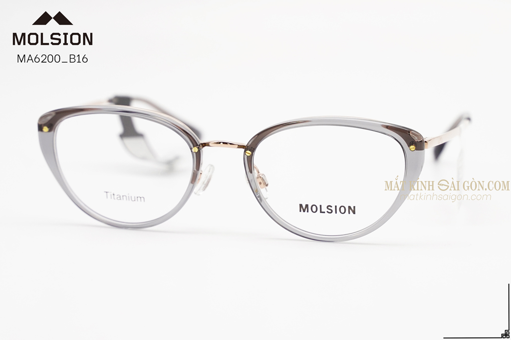 GỌNG KÍNH MOLSION MA6200 B16